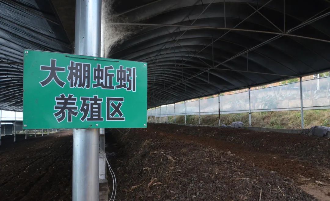 潔匠凈化·的凈工業(yè)除臭劑_的凈工業(yè)除臭劑高效治理蚯蚓養(yǎng)殖惡臭異味大、牛糞味濃