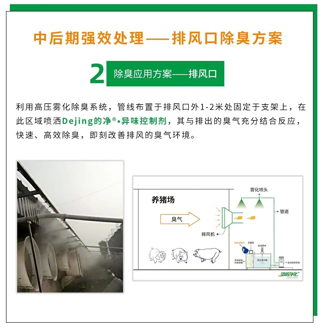 Dejing的凈養(yǎng)殖場(chǎng)除臭劑如何迅速清理養(yǎng)殖場(chǎng)臭味？.jpg