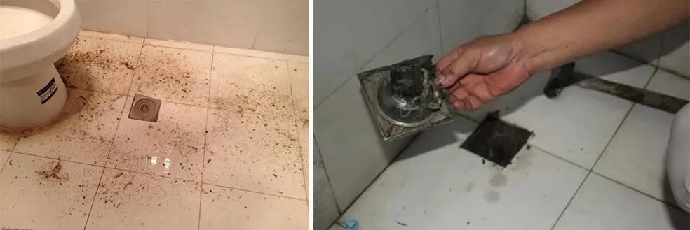 家里衛(wèi)生間老有異味，潔匠凈化教您如何解決難聞的臭味.jpg