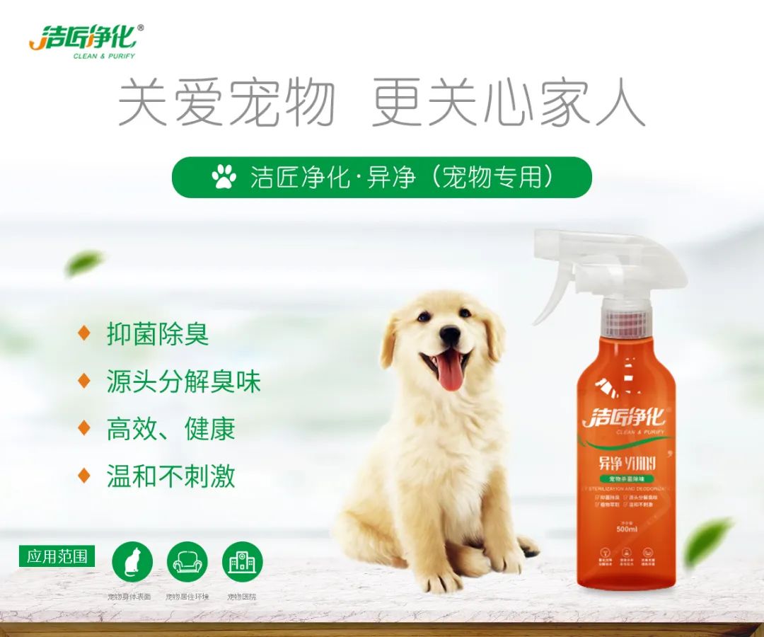 寵物氣味彌漫整個(gè)屋子，潔匠凈化教您如何除味